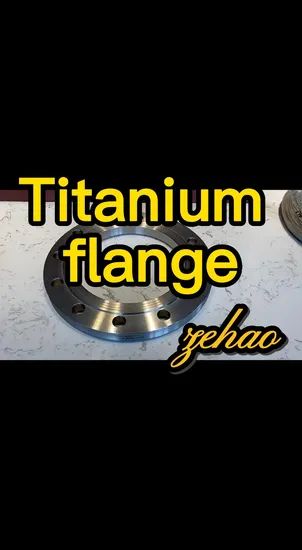 Hot Sale Welding Neck Titanium Flange Wn Flanges 
