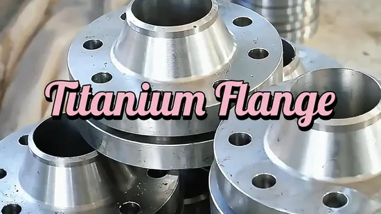 Standard and Custom Titanium Flange for Global Distribution 