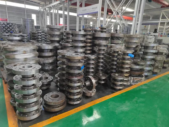 OEM Supplier Welding Neck Titanium Stainless Steel 304 Flange for Industrial Application 
